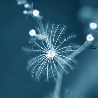 Awesome new wallpaper