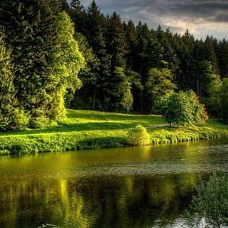 Nature green wallpaper 720x1280