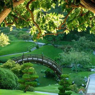 Wallpaper nature beautiful