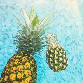 Summer free background