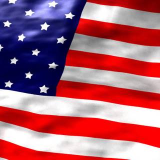 Memorial day wallpaper pandas