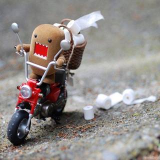 Domo HD wallpaper