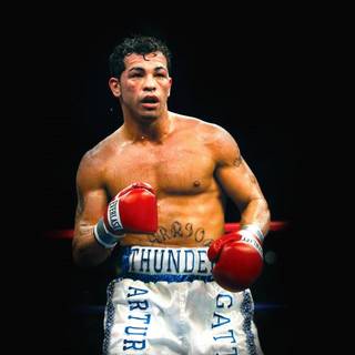 Ali boxing wallpaper