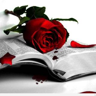 Sad heart HD wallpaper