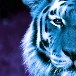 Ultra HD mobile wallpaper