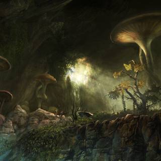 The Elder Scrolls wallpaper