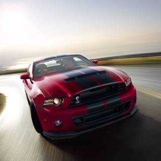 Shelby GT500 wallpaper