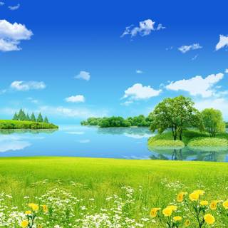 Free nature wallpaper summer