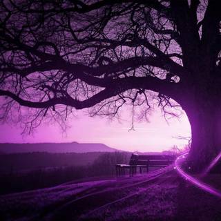 Awesome background pic