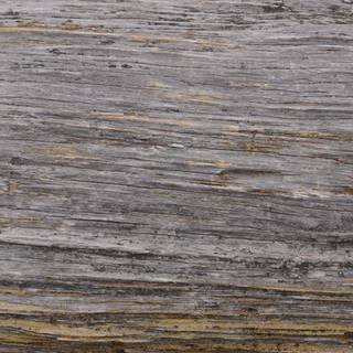 Wood grain background