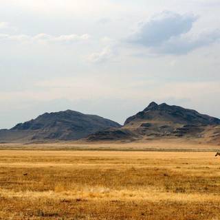 Wild wild west background