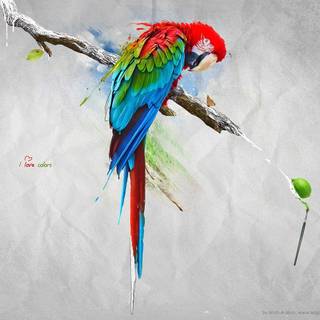 Love colors wallpaper