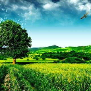 Green scenery wallpaper HD