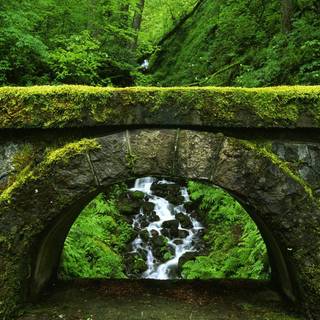 Green scenery wallpaper HD