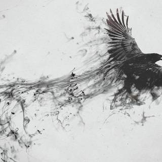 Crow wallpaper