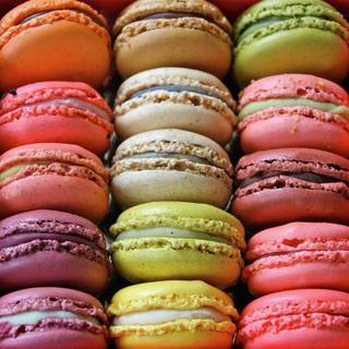 French macaroons wallpaper