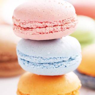 French macaroons wallpaper