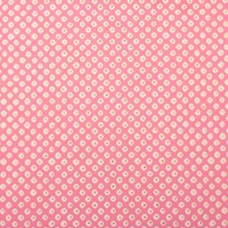 Polkadot soft pink background