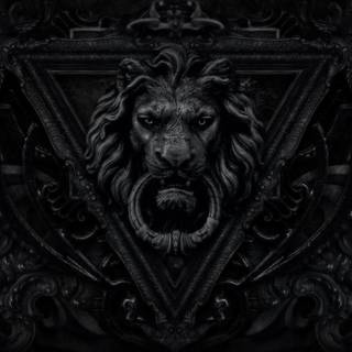 Lions black wallpaper