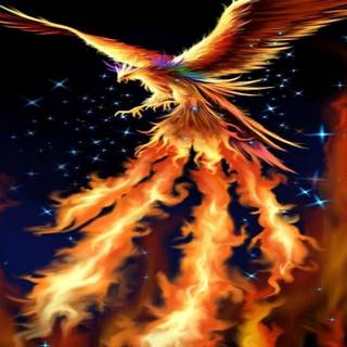 Wallpaper Phoenix