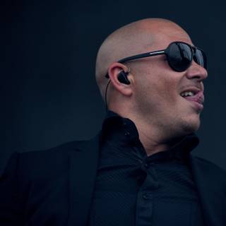 Pitbull raper wallpaper