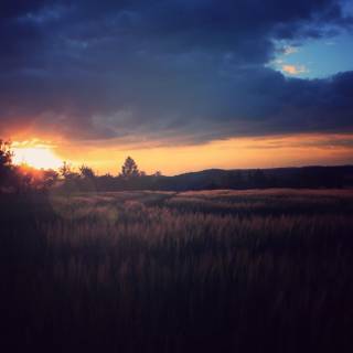 Wallpaper background nature night