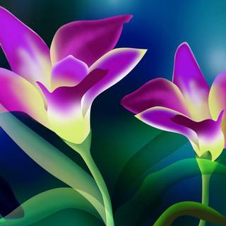 Wallpaper of computer screen