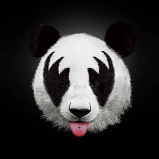 Hipster panda background