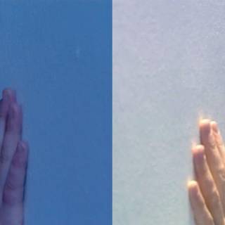 Doctor and rose wallpaper