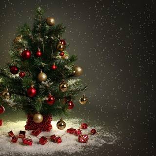 Christmas tree HD wallpaper