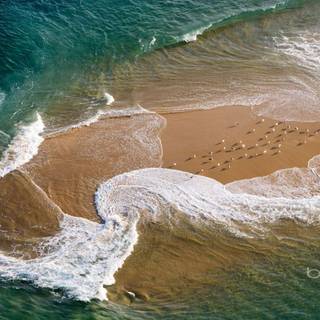 Brand new wallpaper of bing for desktop