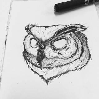 Wallpaper burung hantu