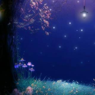 Night time wallpaper