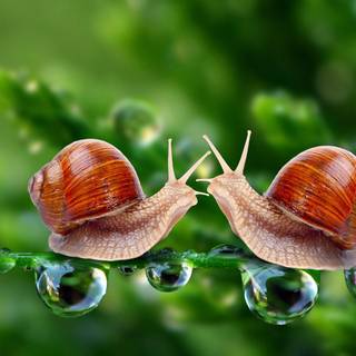 Beautiful love HD 3D wallpaper