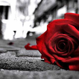 Full HD wallpaper sad love