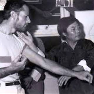 Ving tsung wallpaper