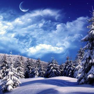 Beautiful snow scenery wallpaper