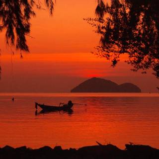 Softcolour HD wallpaper