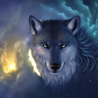 Majestic wolf wallpaper