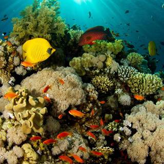 Fishing wallpaper HD