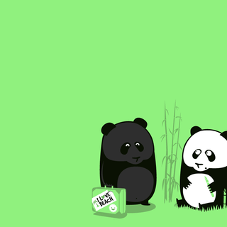 Panda pandi love wallpaper