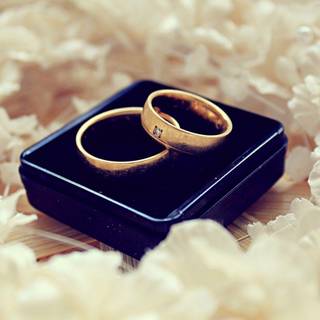 Couple rings wallpaper
