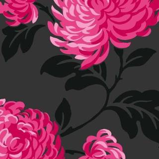 Pink and black floral wallpaper