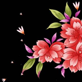 Pink and black floral wallpaper