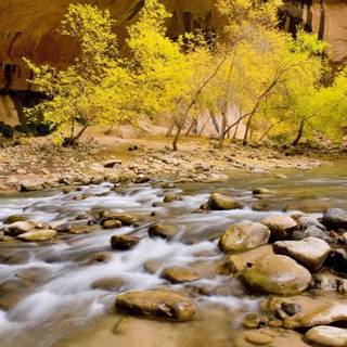 New nature HD wallpaper 1080p