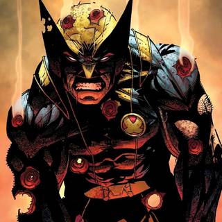 Marvel Wolverine wallpaper