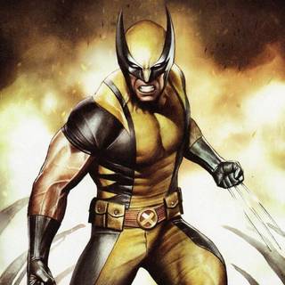 Marvel Wolverine wallpaper