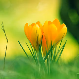 Beautiful wallpaper HD 1080p