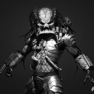 Predator wallpaper HD 1920x1080