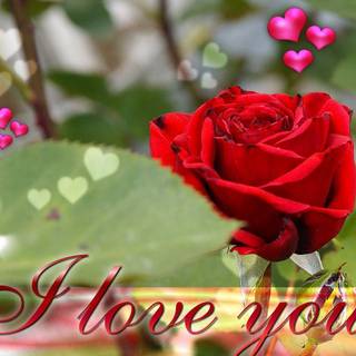 I love you wallpaper image